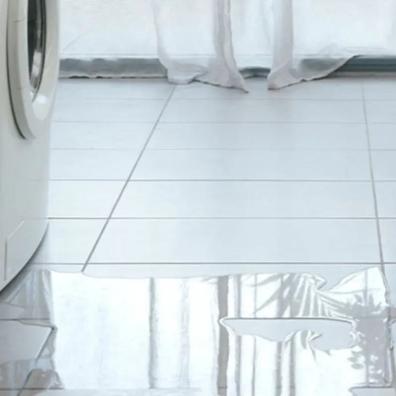 Appliance Leak Cleanup in Harrisburg, IL