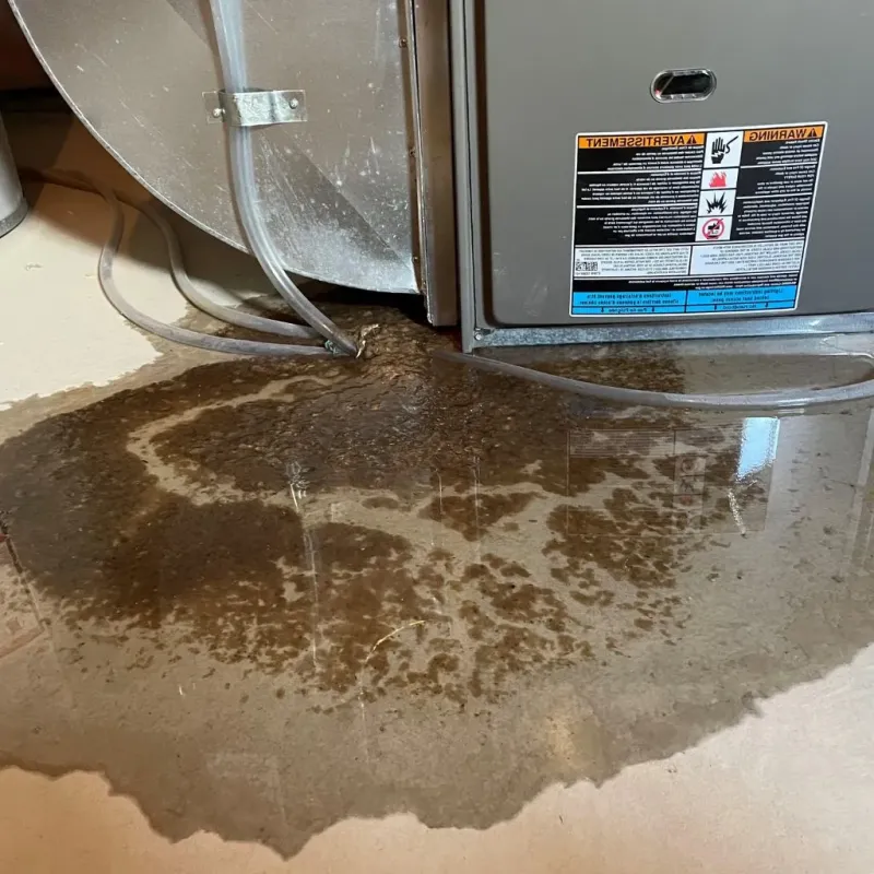 Pipe Burst and Leak Restoration in Harrisburg, IL