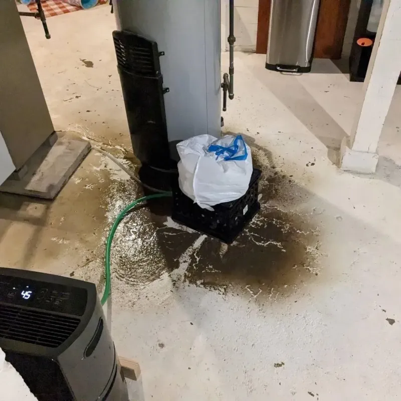 Sewage Backup Cleanup Service in Harrisburg, IL